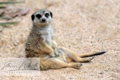 Barcelona Zoo Barcelona Zoo