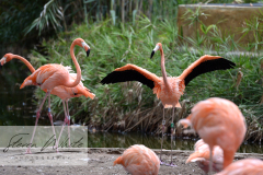 Barcelona Zoo Barcelona Zoo