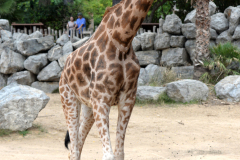 Barcelona Zoo Barcelona Zoo