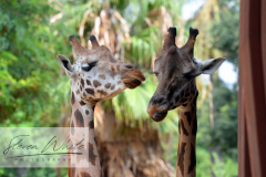 Barcelona Zoo Barcelona Zoo