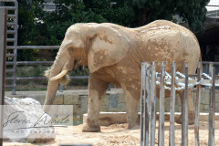 Barcelona Zoo Barcelona Zoo