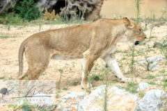 Barcelona Zoo Barcelona Zoo