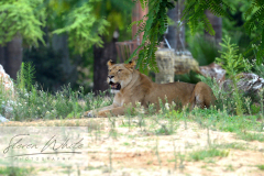 Barcelona Zoo Barcelona Zoo