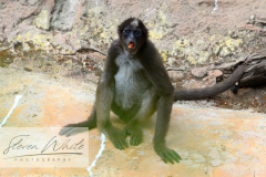 Barcelona Zoo Barcelona Zoo