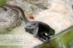 Barcelona Zoo Barcelona Zoo