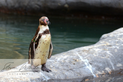 Barcelona Zoo Barcelona Zoo