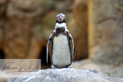 Barcelona Zoo Barcelona Zoo