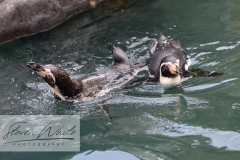 Barcelona Zoo Barcelona Zoo