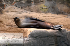 Barcelona Zoo Barcelona Zoo