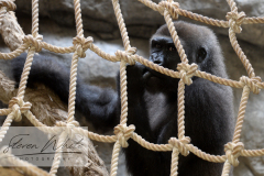 Barcelona Zoo Barcelona Zoo
