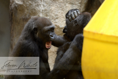 Barcelona Zoo Barcelona Zoo
