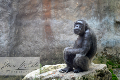 Barcelona Zoo Barcelona Zoo