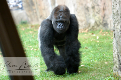 Barcelona Zoo Barcelona Zoo