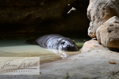 Barcelona Zoo Barcelona Zoo