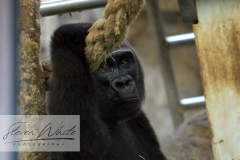 Barcelona Zoo Barcelona Zoo