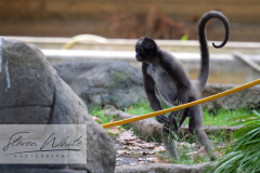 Barcelona Zoo Barcelona Zoo