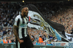 Jamaal Lascelles of Newcastle United celebrates scoring the opening goal of the game during Newcastle United vs Brighton and Hove Albion, Sky Bet EFL Championship Football at St. James' Park on 27th August 2016 Jamaal Lascelles of Newcastle United celebrates scoring the opening goal of the game during Newcastle United vs Brighton and Hove Albion, Sky Bet EFL Championship Football at St. James' Park on 27th August 2016